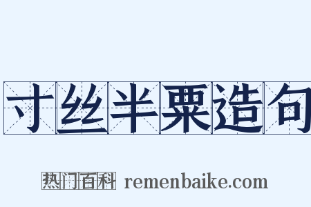 寸丝半粟造句是什么意思的图片